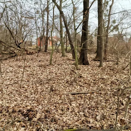 Lägenhet Okerka Vendeghaz Csesztreg