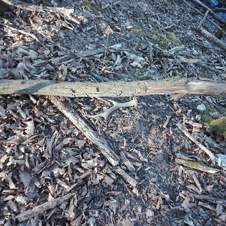 Okerka Vendeghaz Lägenhet