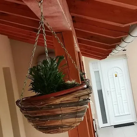 Lägenhet Okerka Vendeghaz *