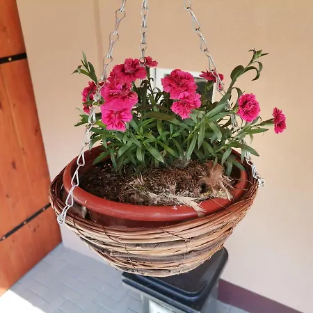 Okerka Vendeghaz Csesztreg